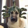 fetbol