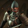 Romanych_Berryhammer