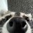 Nadya_Metaverse
