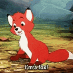 fox (1).gif