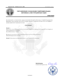 Постановление о назначении №SD-0029.png