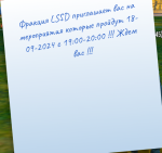 Снимок экрана 2024-09-18 191309.png