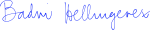 badri-hellingerexsvg.png