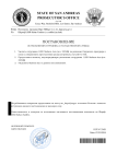 Копия Шаблон DJP (7) (pdf.io).png