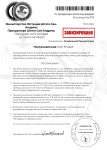 Копия Копия Пример постановления (прокурор)-1_page-0001.jpg