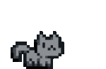 pixel-cat.gif