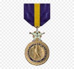 297-2975473_distinguished-service-medal-navy-distinguished-service-medal.jpg