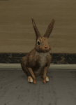 435px-Rabbit.png