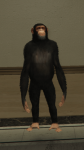 334px-Chimp.png