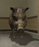 Boar.png