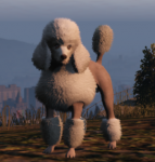 A_c_poodle.png