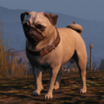 A_c_pug.png