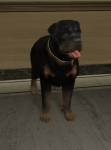 444px-Rottweiler.png