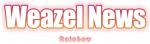 wzn без фона.png