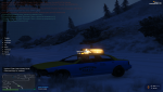 Grand Theft Auto V Screenshot 2021.12.24 - 22.21.03.46-min.png