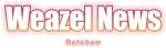 wzn без фона.png