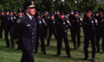 tumblr-noxq5yqWvC1sklvbwo3-250-police-academy-41025982-250-150 (1).gif