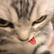 Danya_Reyesov