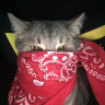 Carl_Y