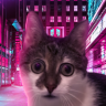BoB_Mayskiy