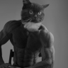 AndrewMelnikov