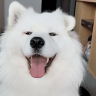 Yao
