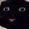 zent