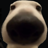 Bandeus