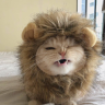 RENI