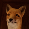 ZloY