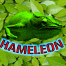 HAMELEON