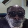hellrey002