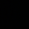 svinka228