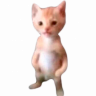 hipokalu