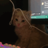 Killa Eclipse