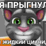 x1neroyce