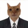 haisemcq