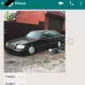 Max_Koresh