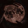 aLveY