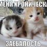 Alexsander_Pirotexnik
