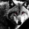 WolFKaM41