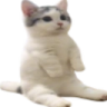 YuuBanned
