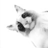 Alex_Sheremetiev