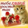 Sanyok_Tapok