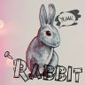 RabbitKZ