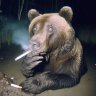 Dmitriy_Medvedyan