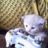 Martin1x1