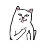 Sophie Meow