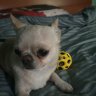 Miron_Baryshev