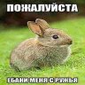 Shtpnishin